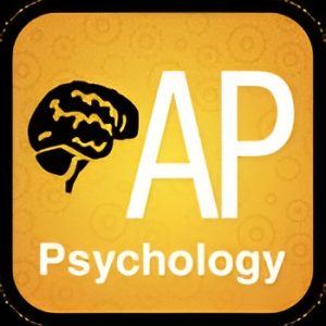 AP Psychology B
